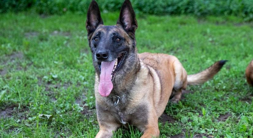 Megszakad a szív! A hős életmentőt gyászolják a hajdú-bihari speciális mentők