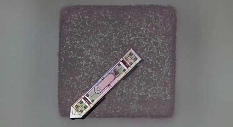 Ez az agyi implantátum még egy szem sónál is kisebb