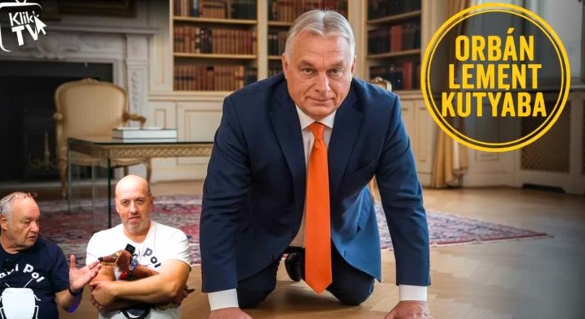 A Fidesz lement kutyába