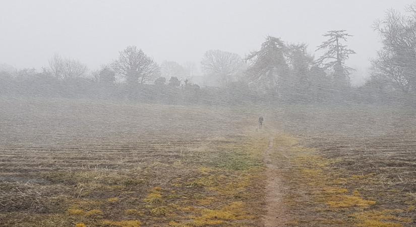 Köd, eső, szél - igazi novemberi napunk lesz