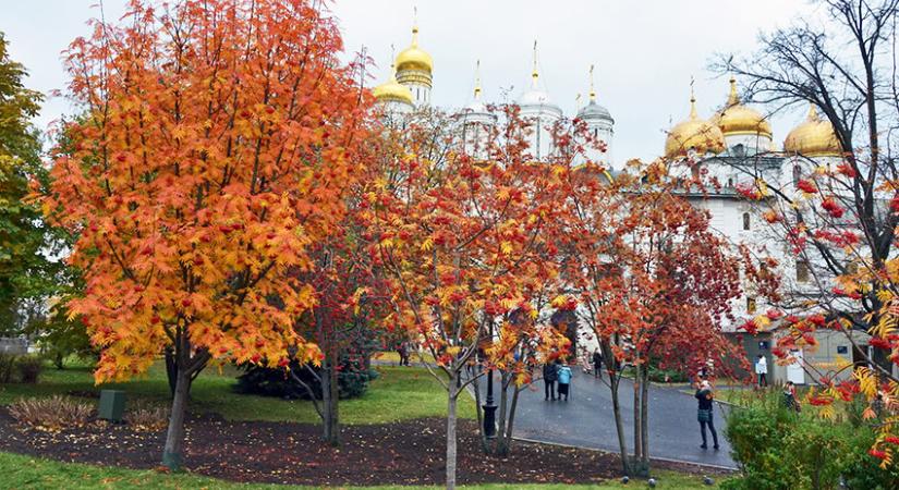 A kőműves, Natasa és a Kreml berkenyéi