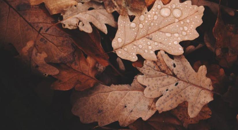 3 napos időjárás-előrejelzés: A felhőké lesz a főszerep