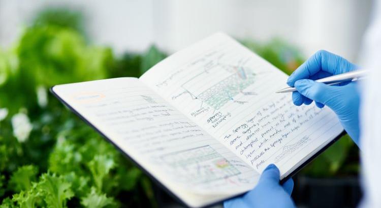 Apró hibák, nagy buktatók a gazdálkodási naplóban