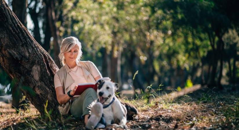Mérgező ennek a fának a termése: ősszel a kutya is könnyen lenyeli, ezért figyelni kell