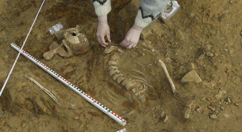 Borzalmas dolgokat találtak Mözs határában! Kegyetlen brutalitásról árulkodik!