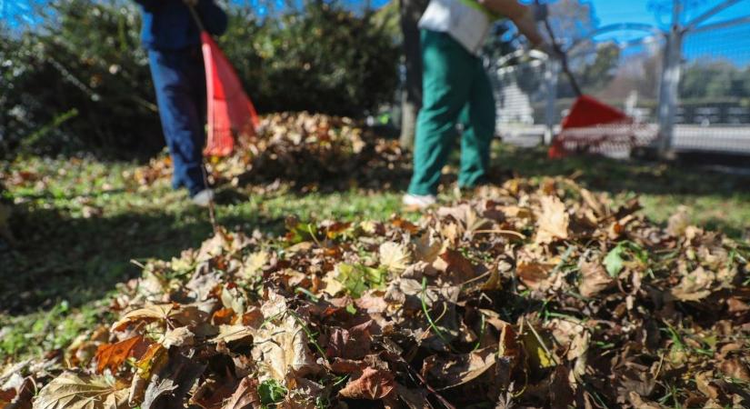 Életed bírságát kockáztatod, ha így szabadulsz meg a zöldhulladéktól – lesz sajnos nemulass, ha ezen rajtakapnak
