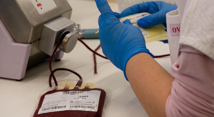 Véradások Zala vármegyében november 10-14. között