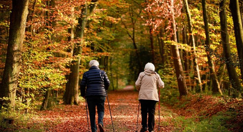 Ez a hétköznapi vitamin bizonyítottan segít megőrizni az egészséget időskorban