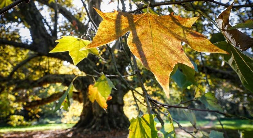 Ennél ősziesebb időjárás nem is lehetne, mint amilyen a vasárnapi lesz
