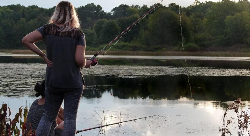 Halgazdálkodási jogot adnak bérbe ezen a holtágon