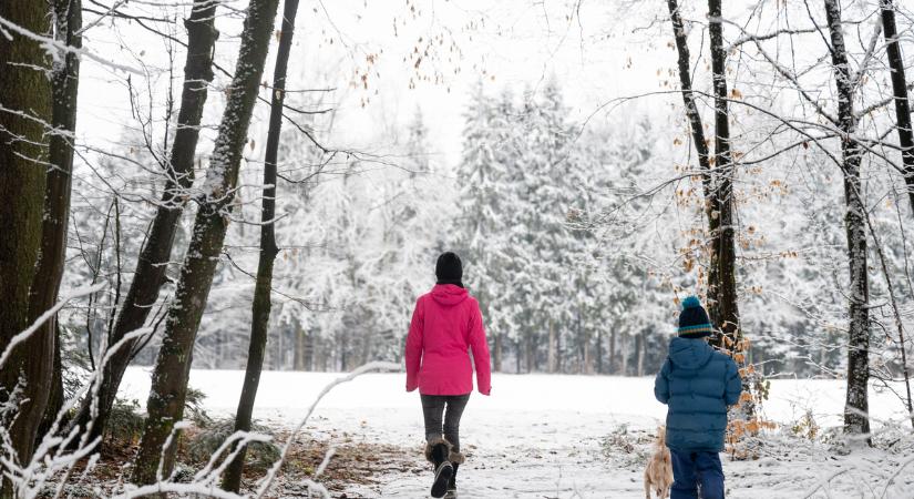 A hideg próbára teszi a szervezetet, de segíthet is az egészség megőrzésében
