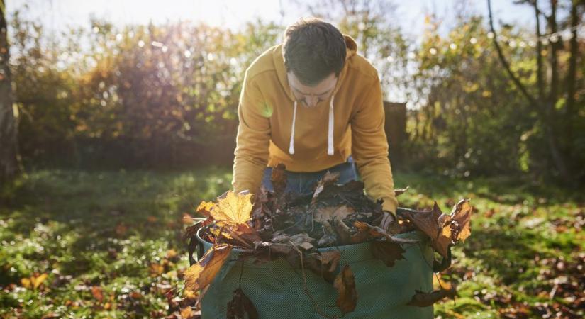 Össze kell-e gereblyézni a leveleket, és melyik virágot érdemes elrakni télire: kertészmérnök válaszolt