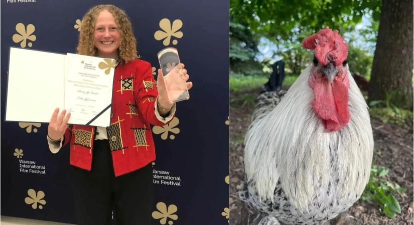 Oscar-jelölést kapott a békéscsabai Sanyi kakas története