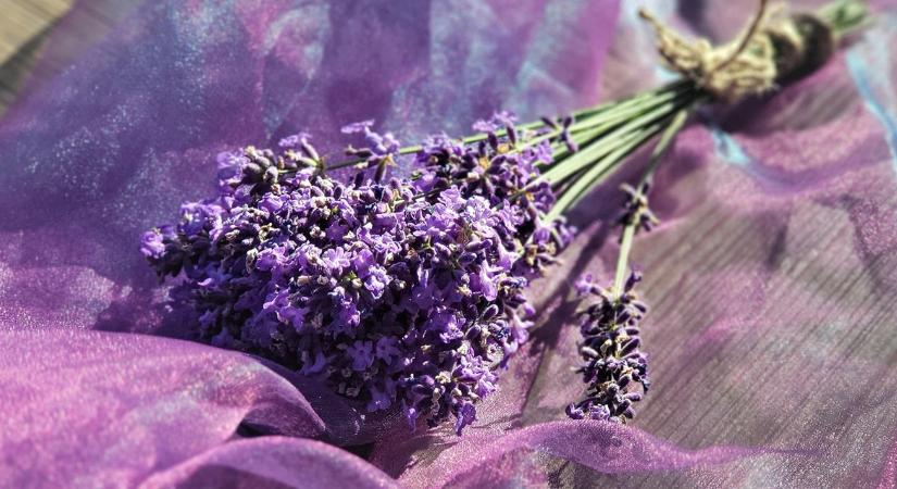 Így lesz illatos a lakásod télen is – kertből a vázába