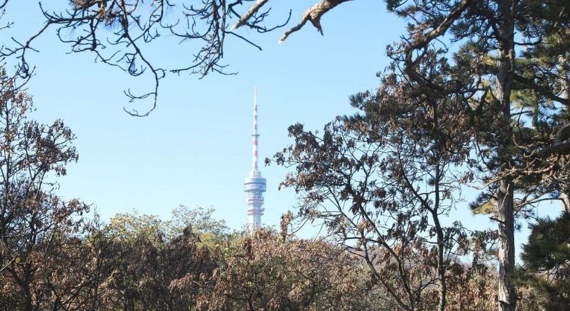 Nagy családi kaland vár a pécsiekre