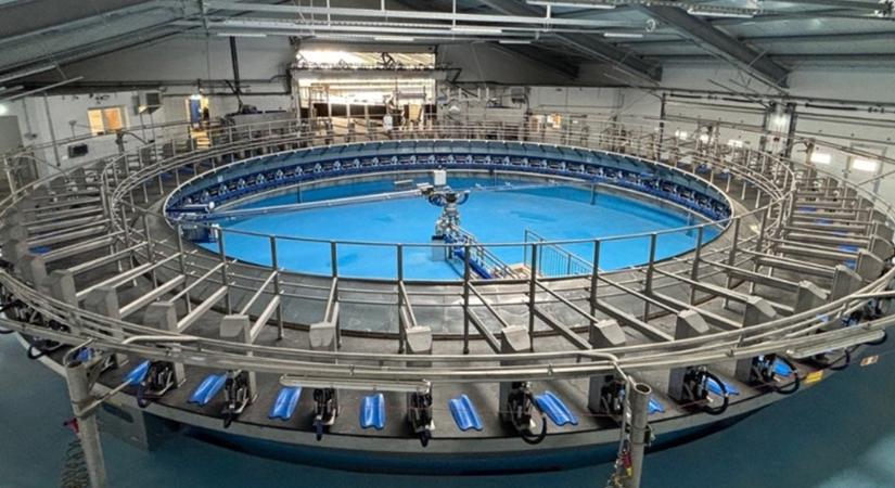 Nálunk működik Európa legmodernebb fejőháza VIDEÓ