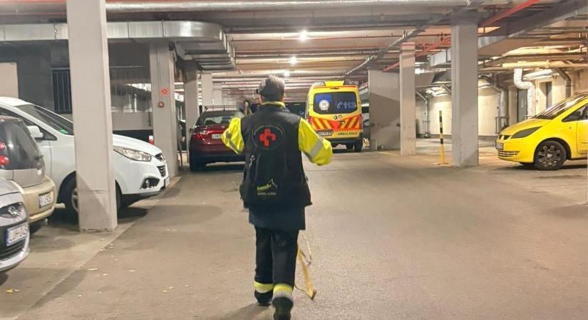 Így találták meg a szekszárdi főorvosnő holttestét – Lépésről lépésre mutatjuk, mi történt