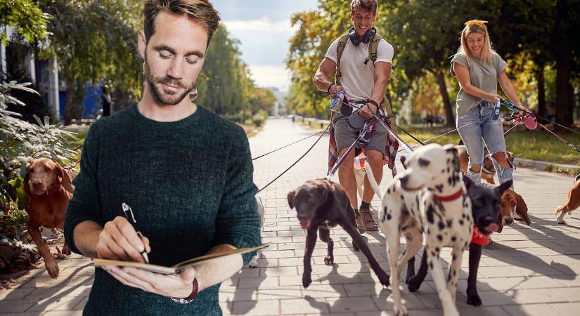 Ebösszeírás kezdődik, érdemes letölteni az adatlapot