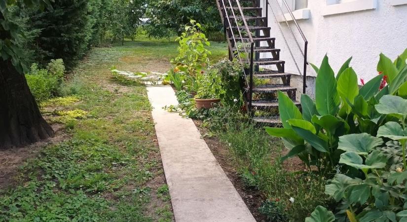 Megtudtuk a titkot, miért Fonyódon található Magyarország legszebb konyhakertje