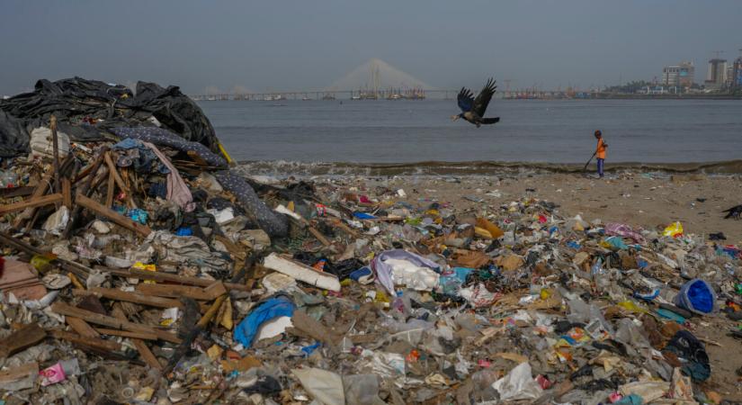 A csodagomba, ami felfalhatja a műanyagot: amazóniai felfedezés adhat reményt a bolygónak