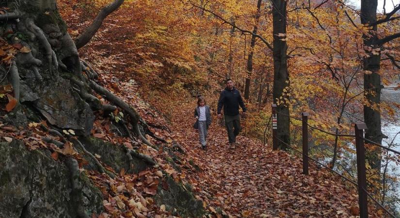 Titokzatos jelek a borsodi erdők mélyén – tudod, mit üzennek a túraösvények titkos jelzései?