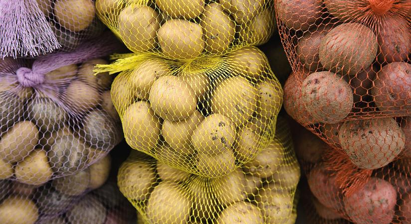 Megmenthető még a magyar burgonya? A kutatók szerint most dől el a sorsa!