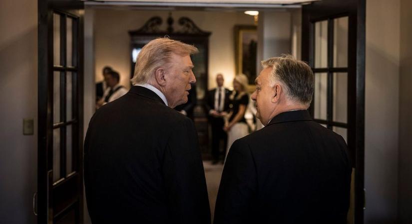 Trump egy kommunikációs zseni, pedig elsőre mondhatnánk azt is, hogy bunkó