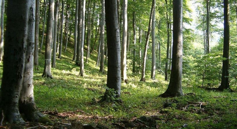 Ne indulj a Mátrába, amíg ezt nem tudod: változtak a népszerű turistautak