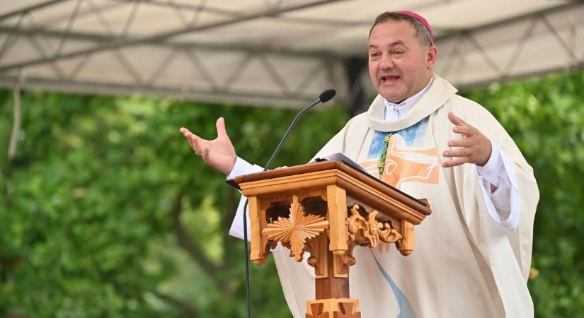 Erre készülnek Pécsen - a fiatal felnőtteket érinti!