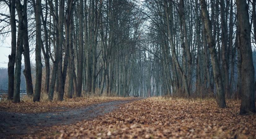 Ködből napsütésbe – változékonyan alakul a hétfői időjárás Szolnok környékén