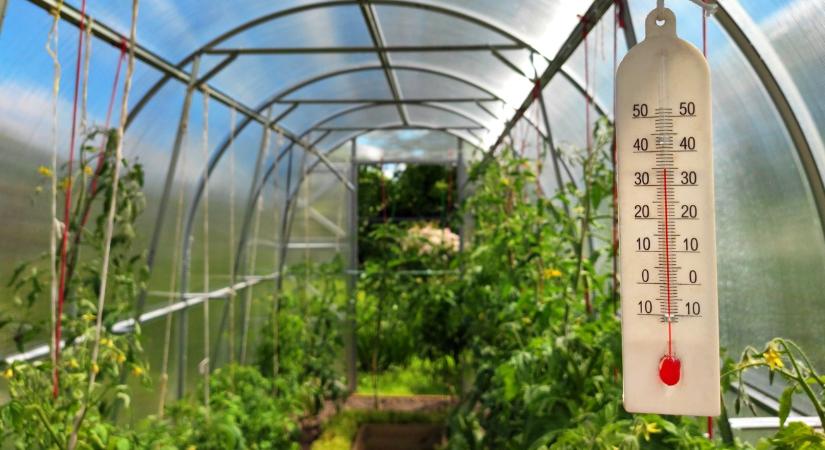 Fóliasátor fűtése okosan – tévutak és valódi megoldások