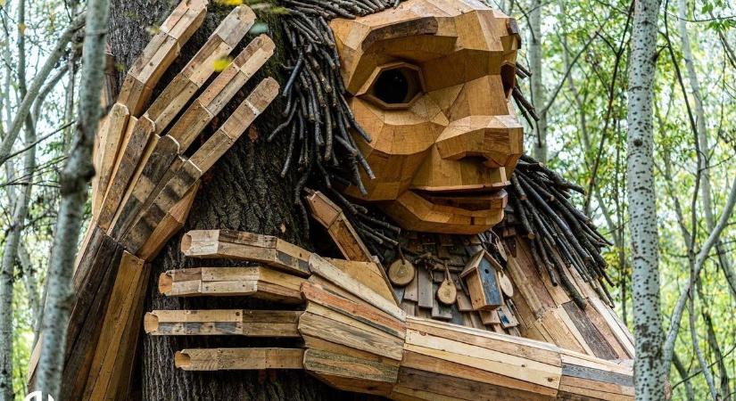 Ölelő Olga megmozdult, akár hiszi, akár nem, de táncolni is tud – videóval