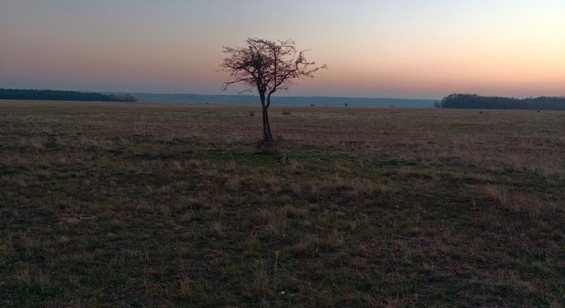 A csákvári katonai repülőtér élete és észrevétlen halála