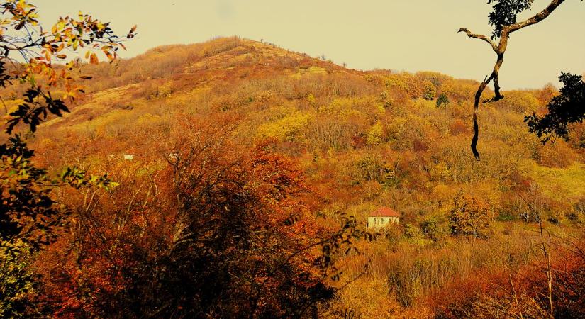 Bezeréd kastélyától, kriptán, kápolnán át a Zala-völgy legmagasabb pontjára (képgaléria)