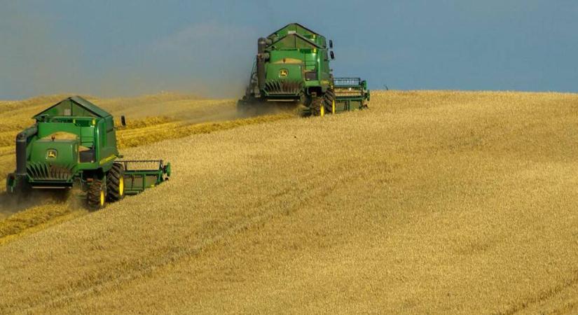 Alacsony forgalom mellett lett olcsóbb a búza