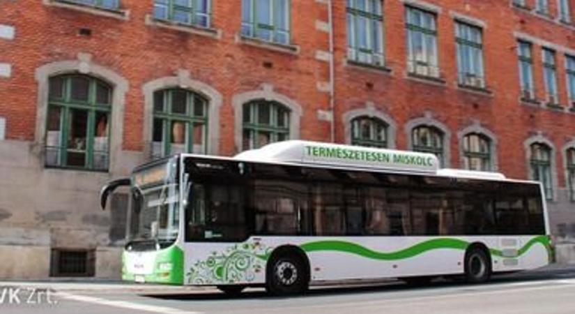Hétfőtől máshol állnak meg a buszok – ideiglenes változás Miskolcon