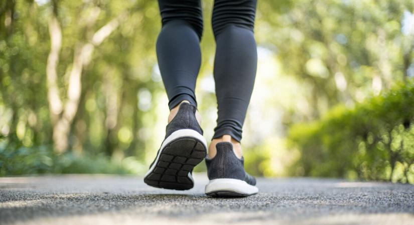 Szikláról zuhant le egy sportoló a Vértesben, tűzoltók mentették meg