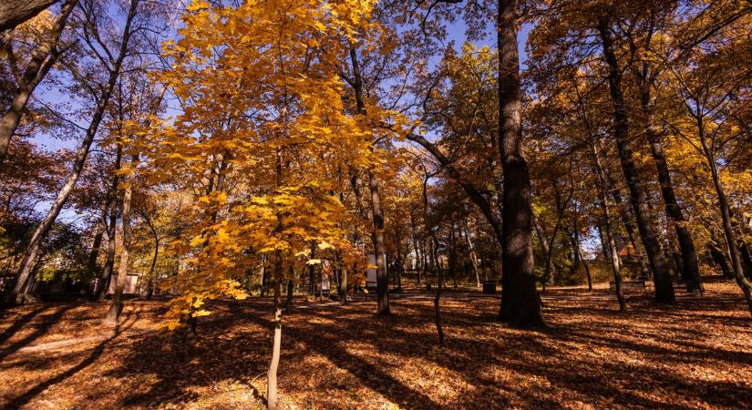 Hétfőn is marad a hűvös, felhős idő Komáromban, ilyen idővel kezdjük a hetet