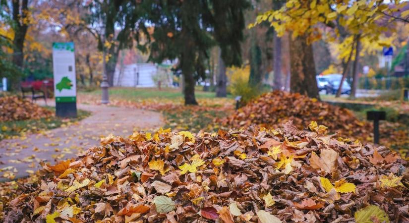 Orvosmeteorológiai figyelmeztetés jött: ezekre kell odafigyelni a jövő héten, hogy ne szenvedjünk