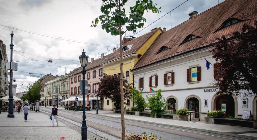 Hamupipőke után megérkezett a herceg is Miskolcra - modernkori tündérmese borsodi módra