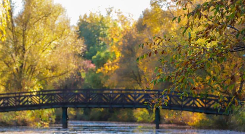 Kirándulnál, de nincs kedved utazni? A Holt-Maros a tökéletes célpont!