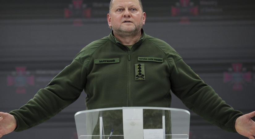 Elnökjelöltként térhet haza Zaluzsnij