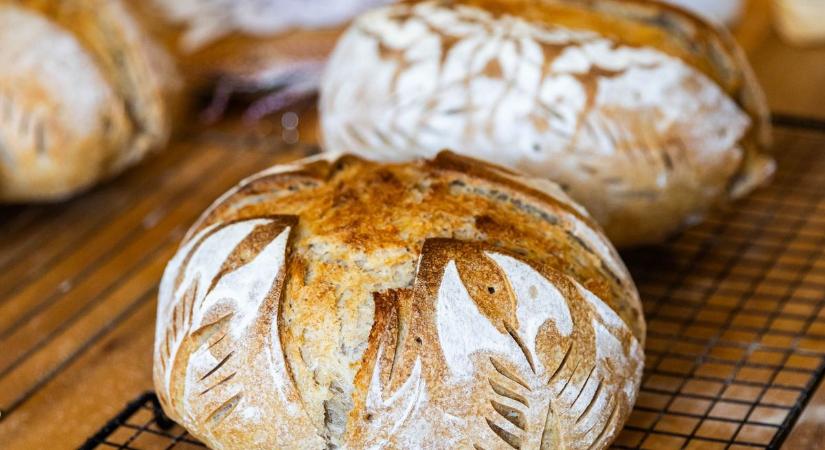 100 tonna kenyér naponta! Az új tatai gyár a jövő pékjeit is várja