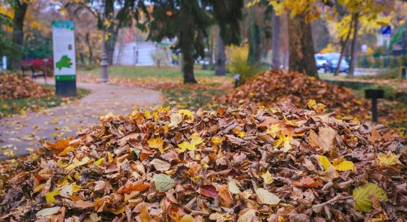 Folytatódik a borongós idő? Mutatjuk, milyen lesz az időjárás holnap Hajdú-Biharban