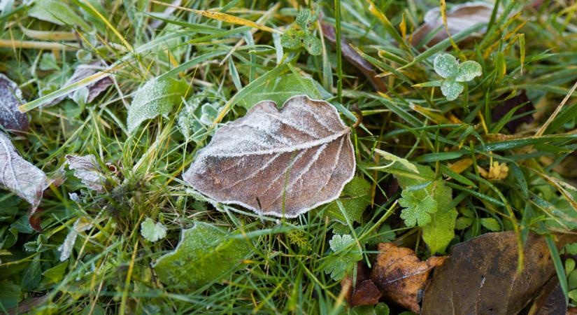 Goodstuff horoszkóp – 2025. november 10. (Hétfő)