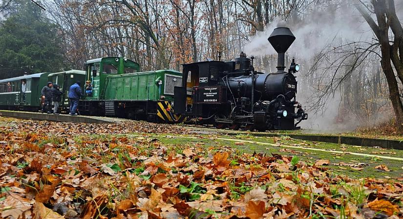 Márton napi Libasokadalmat tartott a Zsuzsi Vasút – fotókkal, videóval