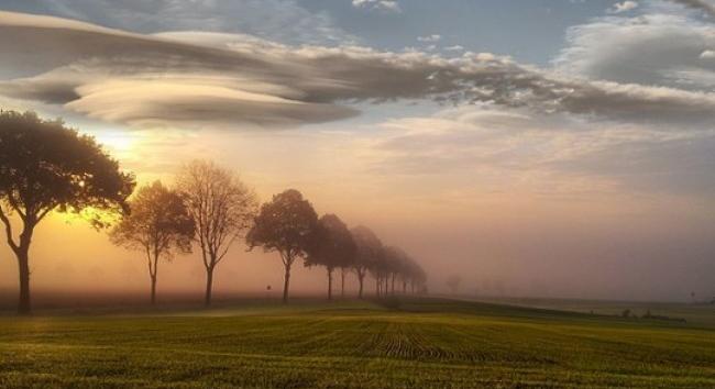 Időjárás-előrejelzés november 10-17-ig – Párás, ködös novemberi napok jönnek