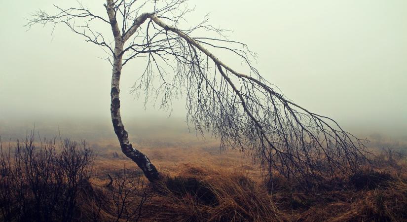 Ilyen lesz a jövő hét: Borús hétkezdés után visszatér az enyhe ősz