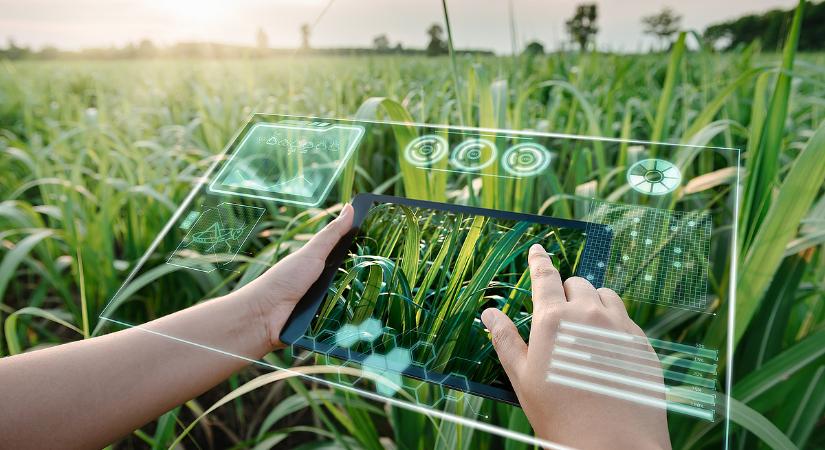 AI az agráriumban – a technológia, ami már ma forintosítható előnyt jelent