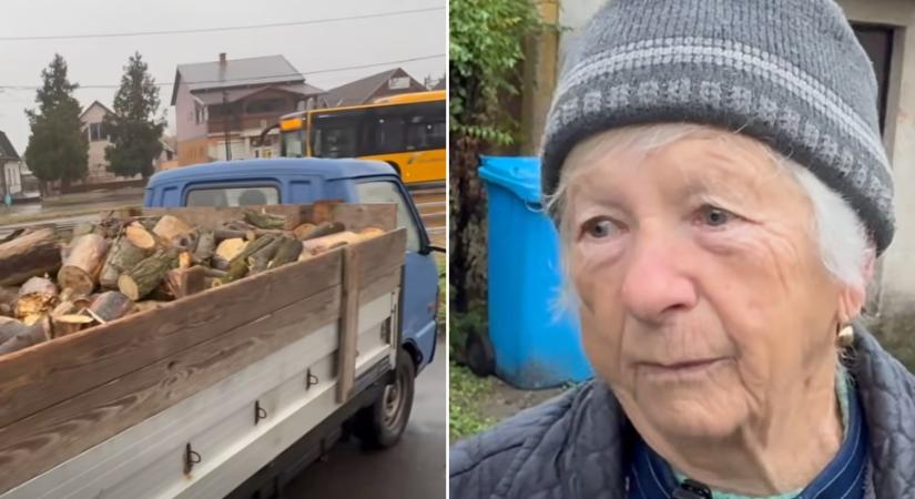 10 mázsa tűzifa bizony, óriási segítség – meghatódott 87 éves bocskaikerti Terike néni